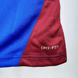22-23 Nuggets WESTBROOK #4 Blue Top Quality Hot Pressing NBA Jersey (Trapeze Edition) 飞人版