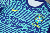 24-25 Brazil Fancy blue Training Short Suit
