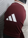 24-25 Bayern Khaki Brown Special Edition Player Version Soccer Jersey