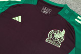 24-25 Mexico Maroon Training Short Suit