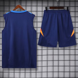 2024 AD Royal blue Tank top and shorts suit