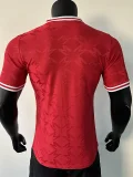 24-25 Man Utd Red Special Edition Player Version Training shirts *三叶草翻领