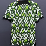 23-24 Nigeria Green White Training shirts