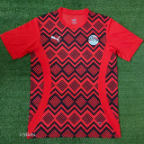 24-25 Egypt Red Training shirts