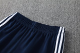 2025 AD Royal blue Jacket Tracksuit #2313