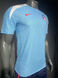 24-25 ATM Lake Blue Player Version Training shirts