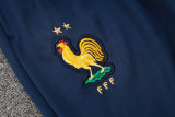 24-25 France Light blue Hoodie Jacket Tracksuit #F587