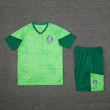 24-25 Palmeiras Light green Training Short Suit
