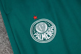 24-25 Palmeiras Dark green Jacket Tracksuit #A742