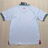 24-25 Palestina Home Fans Soccer Jersey