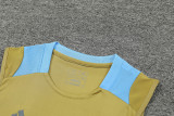 24-25 Argentina Earthy Gold Tank top and shorts suit