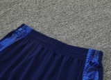 24-25 AL-Nassr Royal Blue Training Short Suit