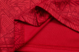 24-25 Fluminense Red Half Pull Tracksuit (半拉链)