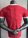 24-25 Man Utd Red Casual style Player Version Soccer Jersey *三叶草