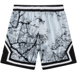 C2439 Jordan Grey Casual Short Pants