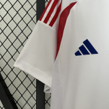 24-25 Chile Away Fans Soccer Jersey