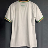 23-24 Ireland Away Fans Soccer Jersey