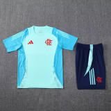 24-25 Flamengo Light green Training Short Suit