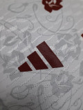 24-25 Spain White Special Edition Player Version Soccer Jersey