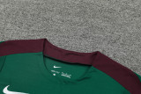 24-25 PSG Green Training Short Suit