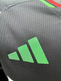 24-25 ARS Away Long Sleeve Player Version Soccer Jersey (长袖球员)