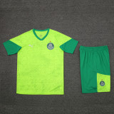 24-25 Palmeiras Fluorescent green Training Short Suit