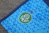 24-25 Palmeiras Lake blue Tank top and shorts suit
