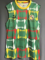 23-24 Senegal Green Vest