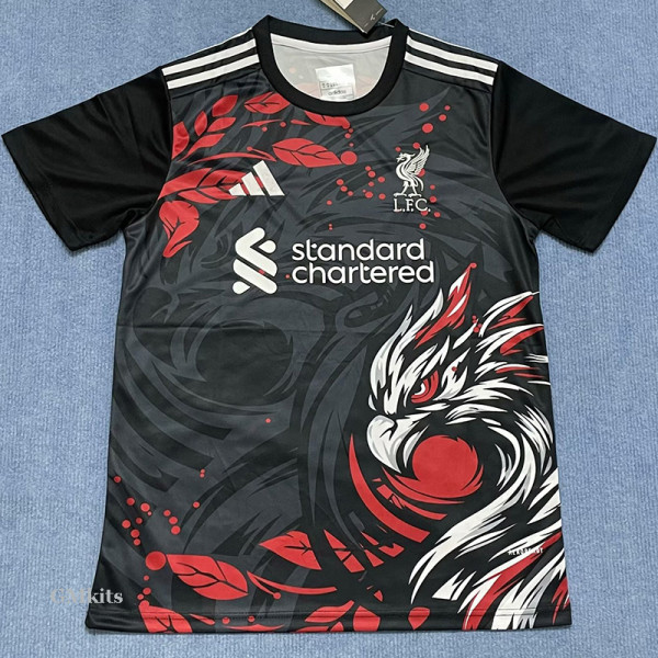 24-25 LIV Black Special Edition Fans Training shirts
