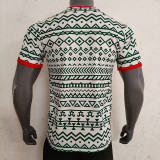 23-24 Nigeria Green-white Training shirts
