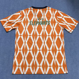23-24 Ivory coast Orange Special Edition Fans Soccer Jersey