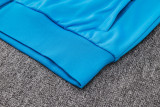 24-25 Brazil Lake blue Hoodie Jacket Tracksuit #F560