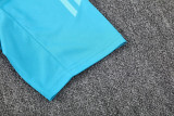 24-25 Flamengo Light green Training Short Suit