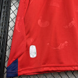 24-25 Osasuna Home Fans Soccer Jersey