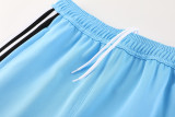 2024 AD Light blue Kids Jacket Tracksuit #AJ20(童装)