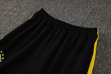24-25 Brazil Yellow Jacket Tracksuit