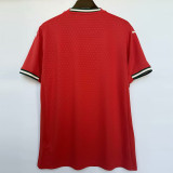 25-26 Portugal Home 1:1 Fans Soccer Jersey *PM