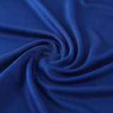 24-25 Netherlands Fancy blue Training Short Suit