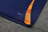 2024 AD Royal blue Tank top and shorts suit