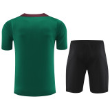 24-25 PSG Green Training Short Suit