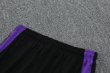 25-26 Germany Purple Polo Tracksuit