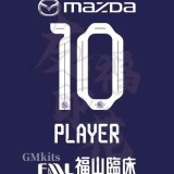 25-26 Sanfrecce Hiroshima Home Fans Soccer Jersey 广岛三箭