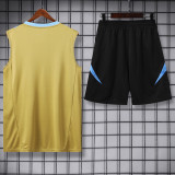 24-25 Argentina Earthy Gold Tank top and shorts suit