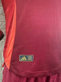 24-25 Man Utd Home Long Sleeve Player Version Soccer Jersey (长袖球员)