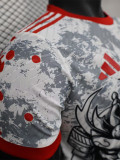 24-25 Japan Grey Red Special Edition Player Version Soccer Jersey