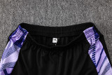 24-25 Germany Purple Half Pull Tracksuit (半拉链)