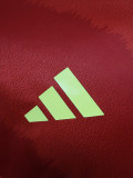 24-25 Spain Home Long Sleeve Player Version Soccer Jersey (长袖球员)