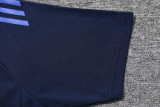 25-26 AL-Nassr Royal blue Polo Tracksuit