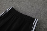 24-25 Germany White Jacket Tracksuit