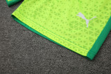 24-25 Palmeiras Fluorescent green Tank top and shorts suit